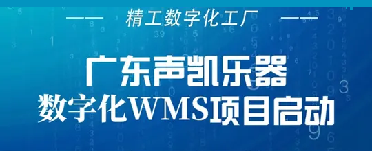广东声凯乐器召开WMS项目启动大会，为项目的顺利推进奠定基础！