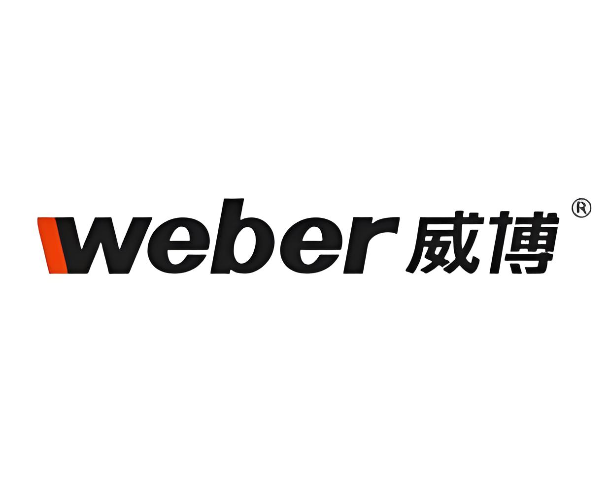威博集团 MES/WMS项目